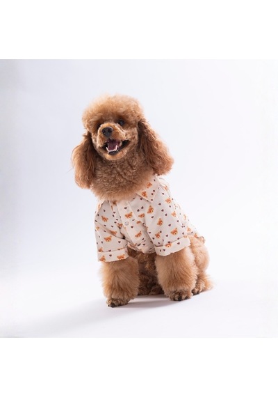 Teddy Belle Kedi Köpek Gömleği - Kedi Köpek Kıyafeti-kedi Gömlek-köpek Gömlek