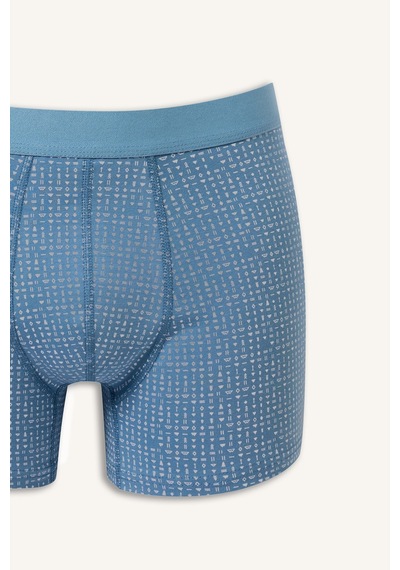 Defacto Regular Fit Desenli Beli Lastikli 3lü Boxer I3347ax26auın264 İndigo-ın264