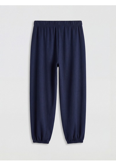 Lcwaıkıkı Basic Lacivert Beli Lastikli Çizgili Kadın Jogger Pantolon