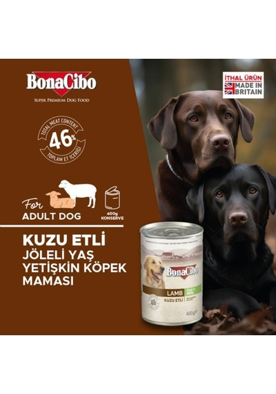 Jöleli Kuzu Etli Yaş Yetişkin Köpek Konserve Maması 400 Gr X 6 Adet