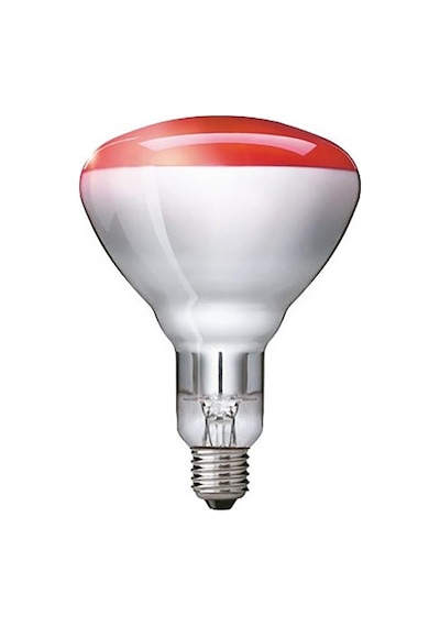 Osram Ledvance 250w Infrared Kırmızı Ampul E27
