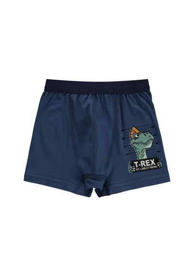 Civil Boys Trex 2-12 Yaş Erkek Çocuk 2'li Boxer Standart