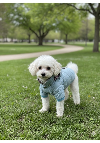 Kedi - Köpek Kapitoneli Şişme Kalın Yağmur Ve Kar Geçirmez Kışlık Mont - Yelek - Kıyafeti