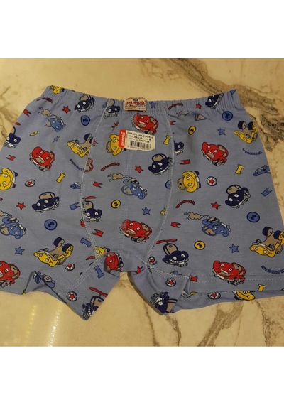 Ceylanoğlu Erkek Çocuk 6'lı Boxer KARIŞIK RENK