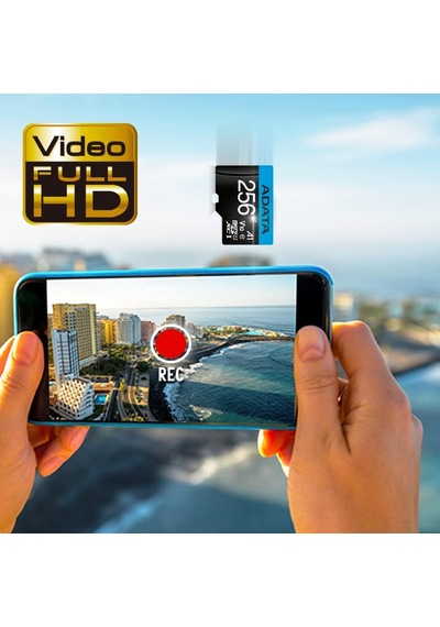 Premier 256 Gb Microsdxc Uhs-ı Class 10