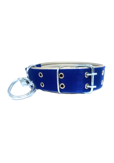 İri Ve Büyük Cinsler İçin Kanğal Köpek Tasması 80x5 Cm Mavi