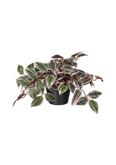 Ikea Fejka Yapay Bitki, Yeşil, 12 Cm, İç/dış Mekan Tradesceantia