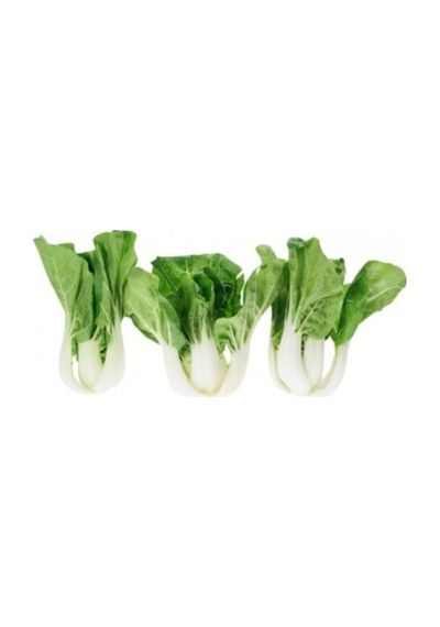 Nadir İthal Çin Lahanası Tohumu 20 Adet Tohum Baby Pak Choi