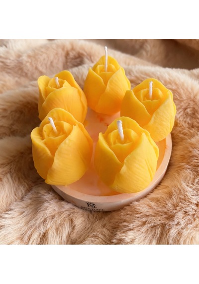 Rüwüzel Turuncu Lale Soya Wax Serisi