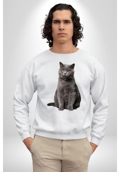 British Shorthair Kedi Unisex Beyaz Sweatshirt Beyaz