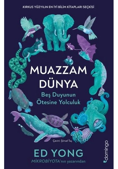 Muazzam Dünya Beş Duyunun Ötesine Yolculuk