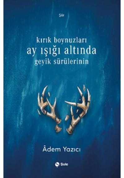 Kırık Boynuzları Ay Işığı Altında Geyik Sürülerinin - Rxlu-885895