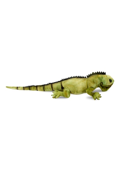 Mey İthalat İguana 66 Cm Yeşil