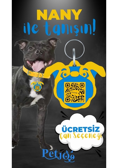 Petjoo 17.Nany Mavi-Sarı Qr'lı Köpek Künyesi