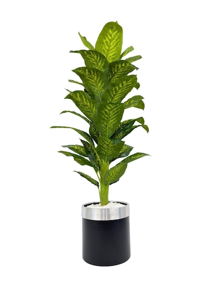 Biçiçek Yapay Di̇fenbahya 170 Cm Si̇yah Gümüş Metal Saksıda