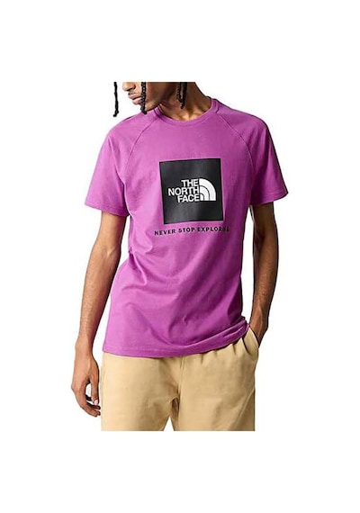 The North Face M Raglan Redbox - Eu Erkek Tişört Nf0a3bqolv11 Mor