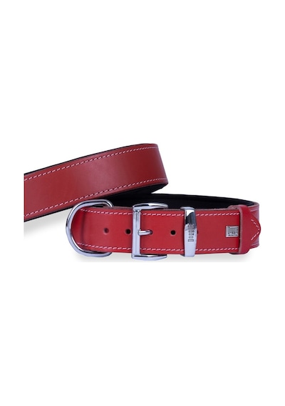 Doggie Konforlu Deri El Yapımı Köpek Boyun Tasması 4 x 52-60 CM Kırmızı