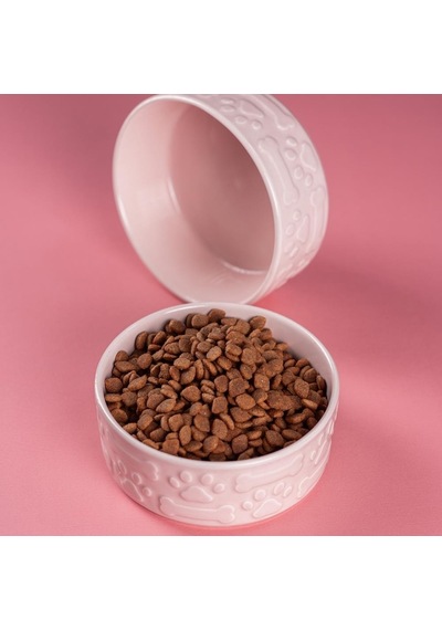 Pembe Kedi Köpek Mama Kabı 2li Seramik Kabartmalı Kedi Köpek Mama Ve Su Kabı 13.5 Cm 500ml