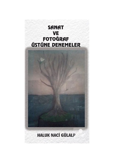 Sanat ve Fotoğraf Üstüne Denemeler - Haluk Naci Gülalp - Platanus Publishing