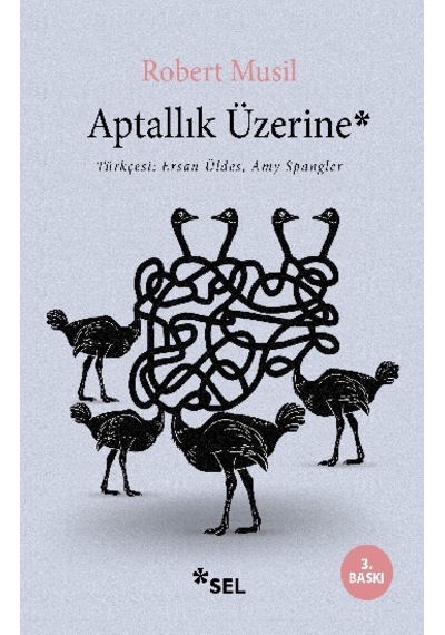 Aptallık  Üzerine