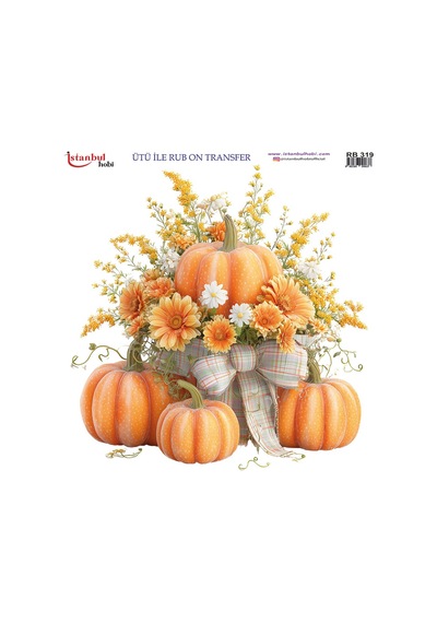 Ütü İle Rub On Transfer Kağıdı 30x30cm Rb-319