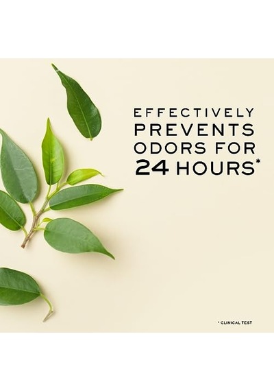 24h Deodorant 50 Ml 212732