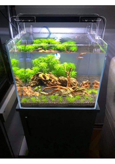 Armatür'K 30Cm Led Armatür (30-38 Cm Arası Bitkili Akvaryum Aydın