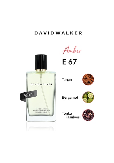 David Walker E67 Tom Erkek Parfüm EDP 50 ML