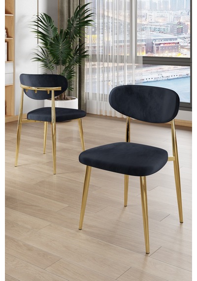 Canisa Olya Serisi 90x168 Lak Panel Sonata Masa Takımı Gold Ayaklı 6 Antrasit Sandalye Sonata Masa Antrasit Sandalye Canisa Olya Serisi 90x168 Lak Panel Sonata Masa Takımı Gold Ayaklı 6 Antrasit Sandalye Sonata Masa Antrasit Sandalye