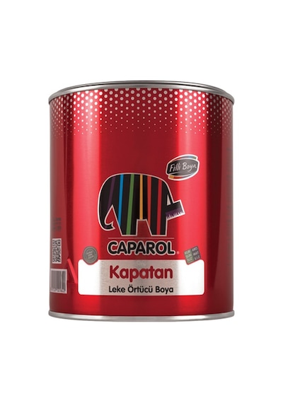 Filli Boya Kapatan İs Örtücü 2,5 Lt