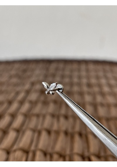 Gerçek Titanium G23 Kelebek Zirkon Titanyum 6x1.2mm Bedenilabret Piercing Gümüş