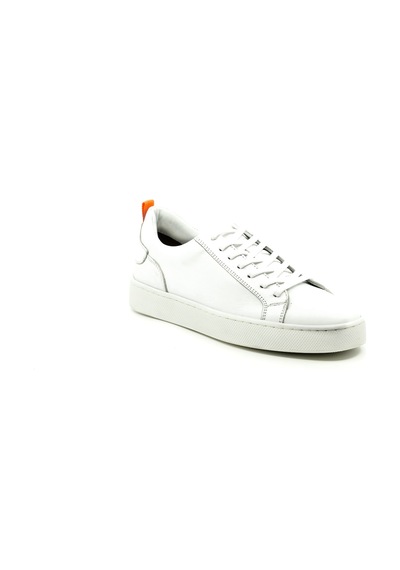 Dexter Dx279077-37 Çok Renkli