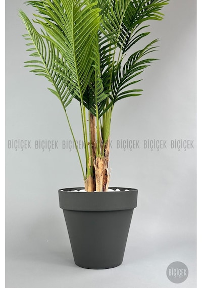 Biçiçek Yapay Areka Ağaci 220 Cm 4 Gövdeli̇ Antresi̇t Yali Saksıda