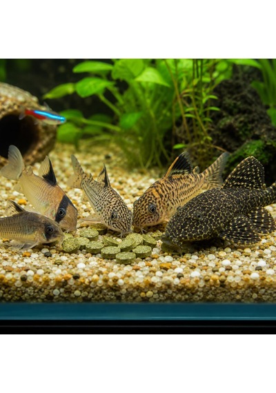 Sera - Tetra - Tropical Tablet Yem Tropical 3-algea 150 Adet