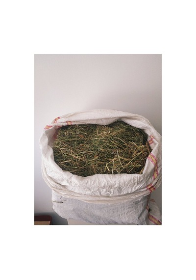2kg Kuru Yonca Otu, Kemirgen Otu Chinchilla, Tavşan, Ginepig, Ha