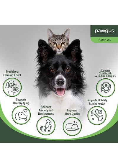 Kenevir Yağ Kedi Köpek Sakinleştirici - Stres, Hiperaktivite, Artrit, Nöbet, İştah,uyku Takviyesi