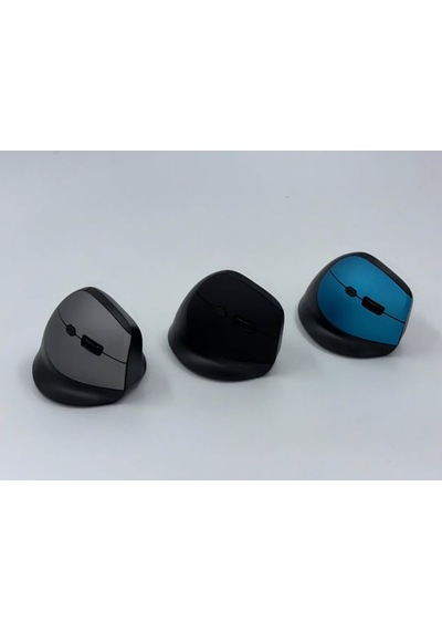 Skygo Zr721 Dry Battery Ergonomik Mouse 2400vf
