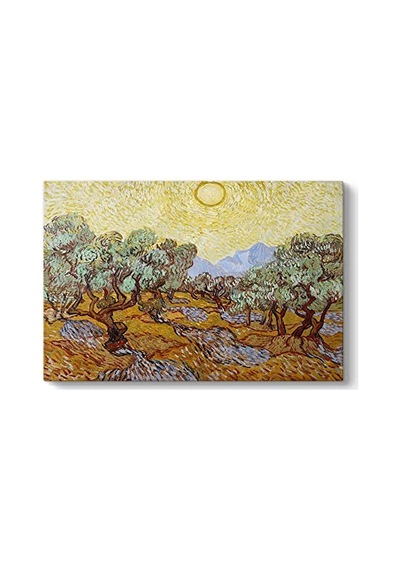 Vincent Van Gogh - Olive Trees Tablosu 125 X 80