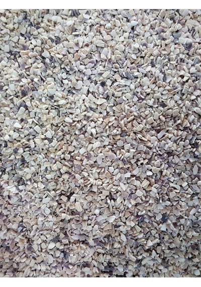 Purecanpati Midye Kırığı 100 G