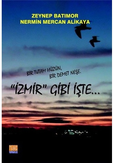 Izmir Gibi Işte