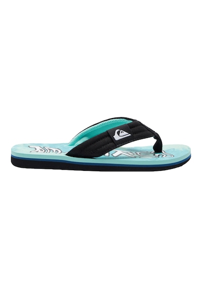 Quıksılver Quiksilver Molokai Layback Iı Youth Erkek Çocuk Yeşil Terlik Xgby