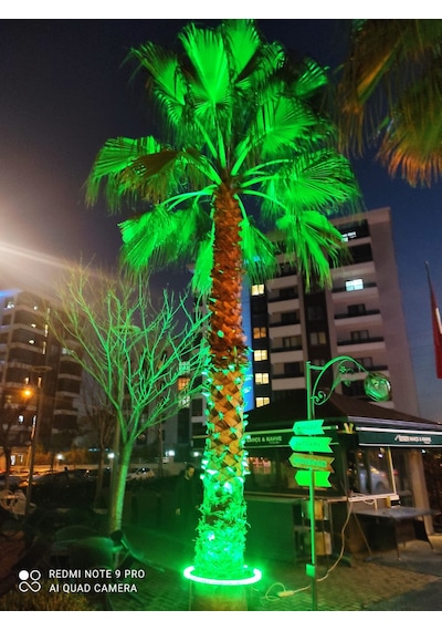 Palmiye Çember Aydınlatma Ip67 80cm