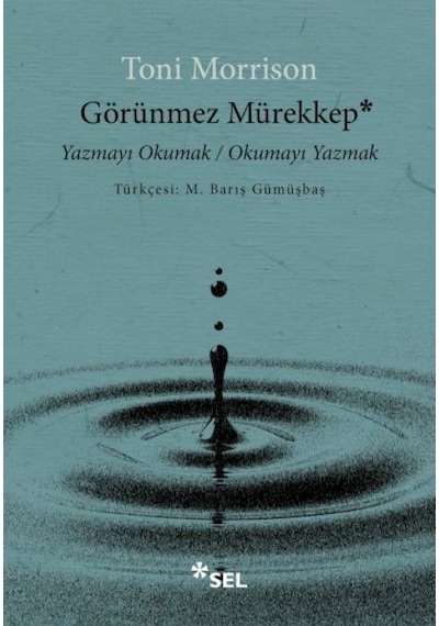 Görünmez Mürekkep: Yazmayı Okumak / Okumayı Yazmak - Vzqg-762876