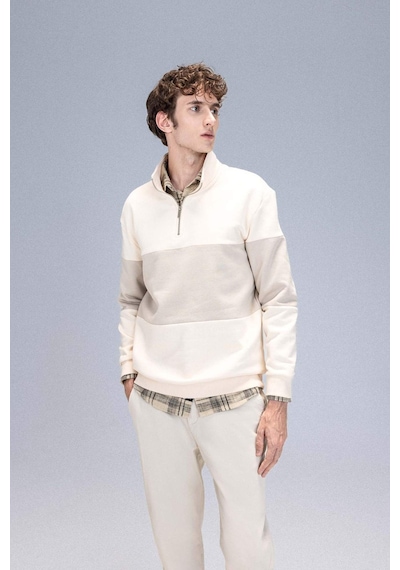 DeFacto Comfort Regular Fit Rahat Kalıp Dik Yaka Fermuarlı Çizgili Kalın Sweatshirt D2401AX24AUER42 DeFacto Comfort Regular Fit Rahat Kalıp Dik Yaka Fermuarlı Çizgili Kalın Sweatshirt D2401AX24AUER42