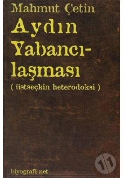 Aydın Yabancılaşması