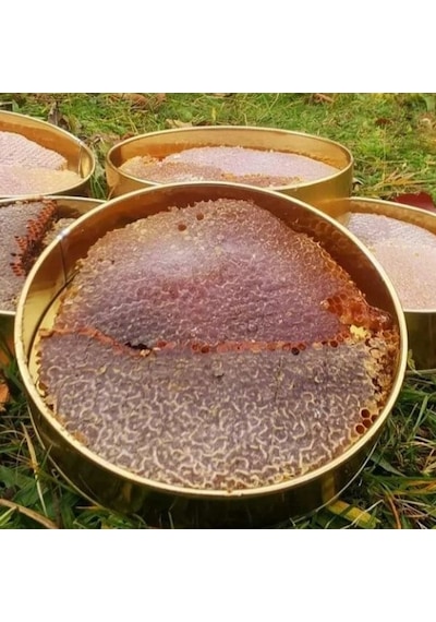 Kahraman Bal ve Arıcılık Karakovan Petek Bal 1350 KG