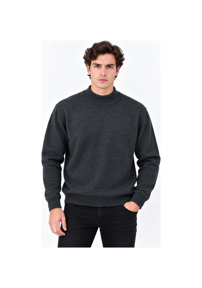 Classics Men Regular Fit Yarım Balıkçı Yaka Basic Triko Kazak 7812 Füme