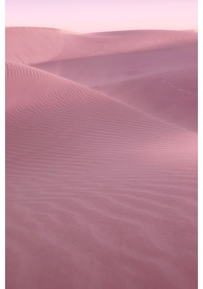 Estee Lauder Desert Eden Kadın Parfüm EDP 100 ML