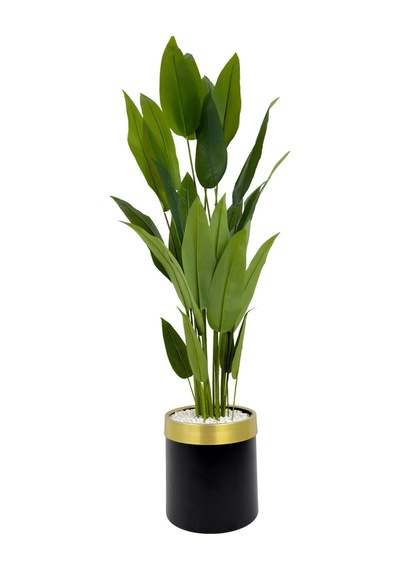 Starliçe 220cm Metal Siyah Gold Saksıda H