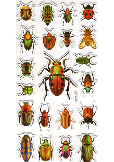 Sticker Kabartmalı Stiker Çıkartma Etiket Xhc083 -18x9 Cm- Böcek Türleri Çok Renkli